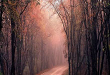 Yiwan28-穆古鲁扎意外战胜TES，刷新纪录引爆全场！引发球迷热议(任务又失败了西西特最新)