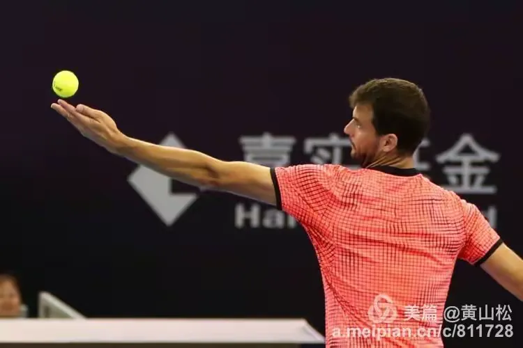 Yiwan28-穆雷在中国队比赛中赛事规则更新，连败引发热议！的简单介绍